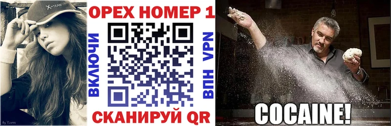 мега tor  цены наркотик  Краснослободск  Cocaine Fish Scale 