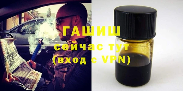 индика Арсеньев