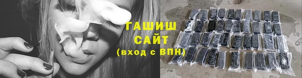 индика Арсеньев