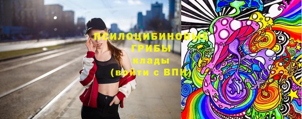 индика Арсеньев