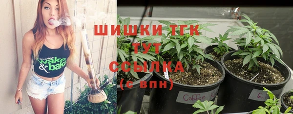СК Алзамай