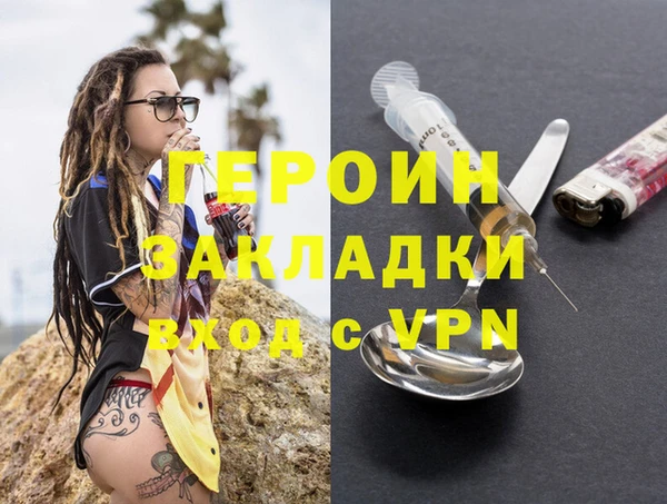 индика Арсеньев