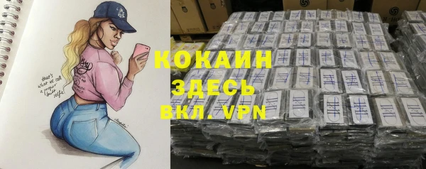 индика Арсеньев
