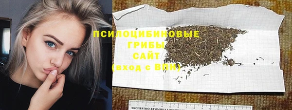СК Алзамай