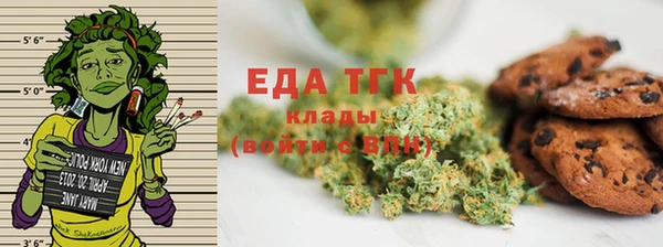 индика Арсеньев