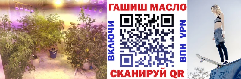 ТГК вейп  Краснослободск 