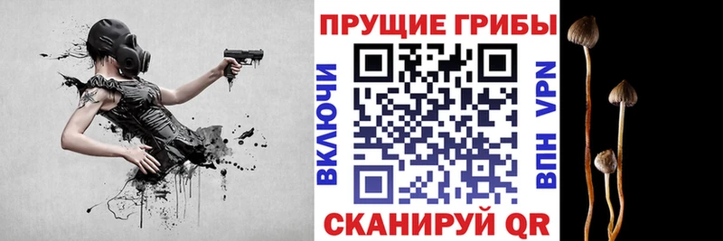 Галлюциногенные грибы мухоморы  купить закладку  Краснослободск 